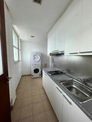 Newton Gems (D11), Condominium #481446911